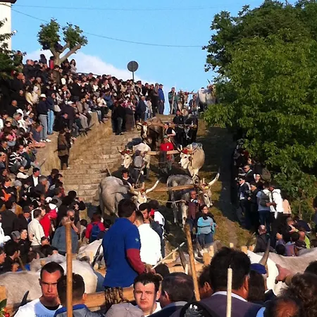 Bed & Breakfast La Cantina Del Convento Potenza